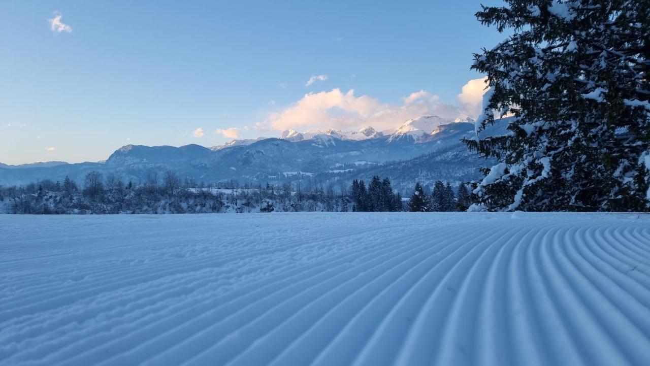 Pod Koblo Bohinj Apartments Buitenkant foto